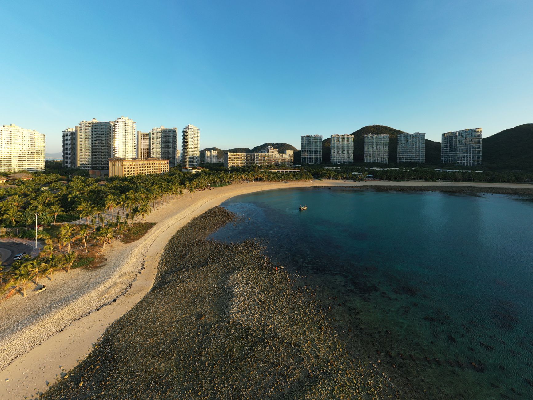 有棕櫚樹的寧靜海岸線